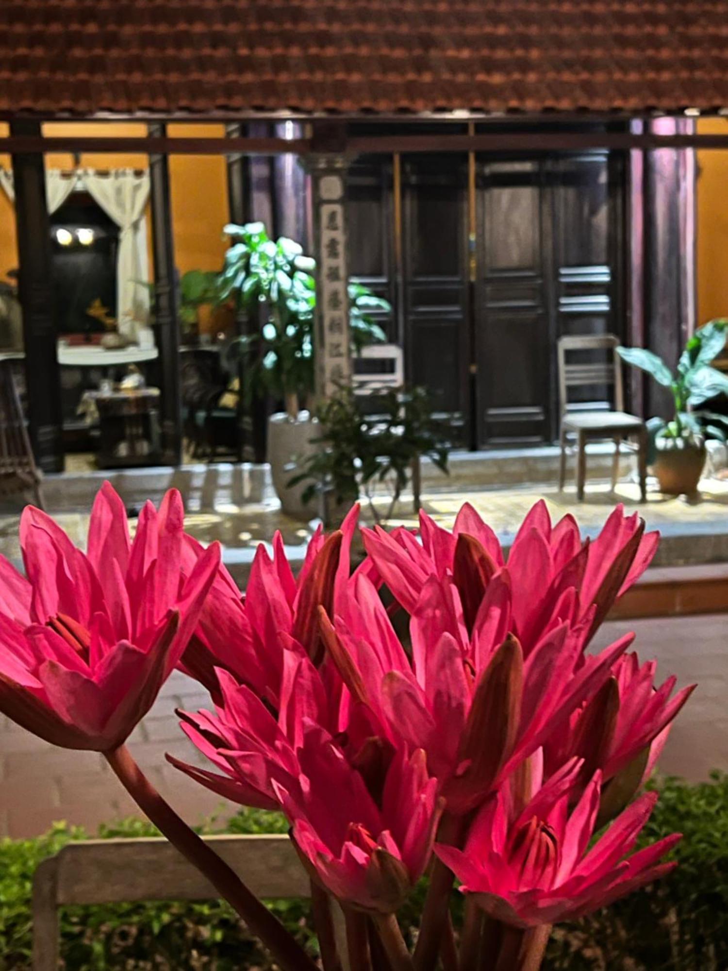 Thom'S House Hotel Ninh Binh Luaran gambar