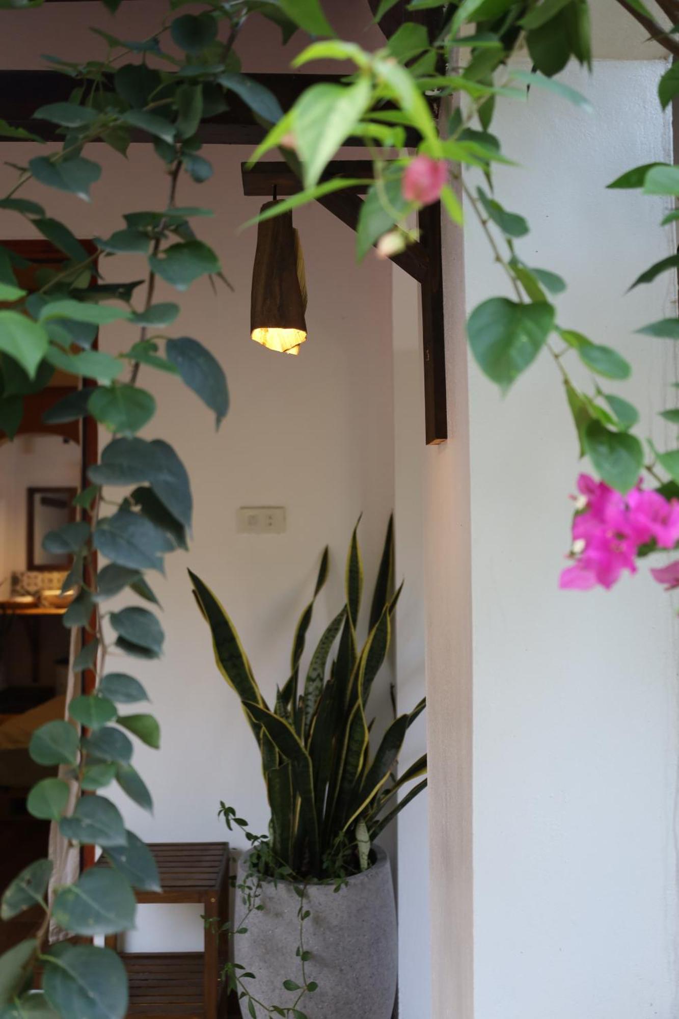 Thom'S House Hotel Ninh Binh Luaran gambar