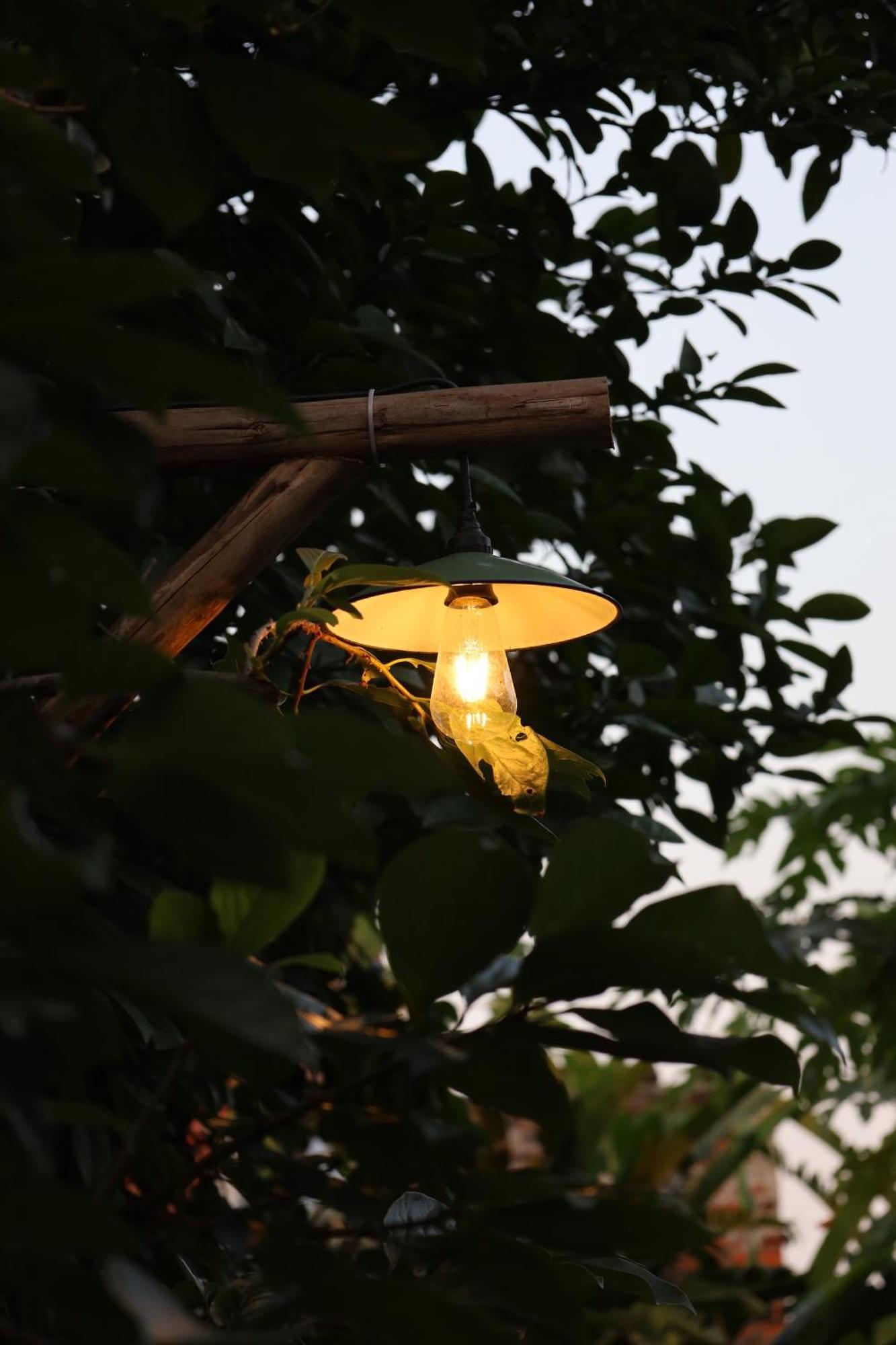 Thom'S House Hotel Ninh Binh Luaran gambar