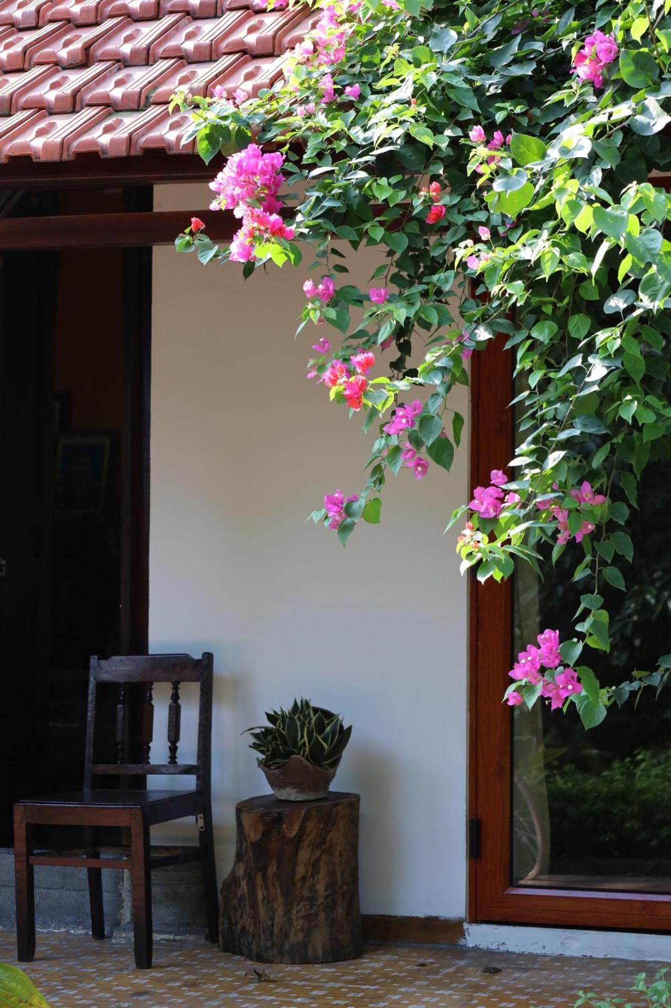 Thom'S House Hotel Ninh Binh Luaran gambar